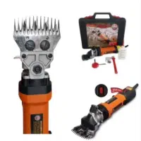 پشم چین حیوانات