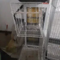 قفس کاسکویی فوق ضخیم|لوازم جانبی حیوانات|مشهد, ابوذر|دیوار