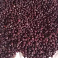 قاخ|خوردنی و آشامیدنی|قره ضیاالدین, |دیوار