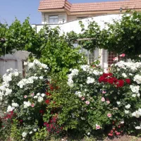 ویلای مسکونی