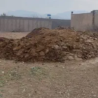 کود گوسفندی درجه یک