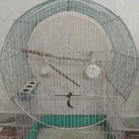 قفس بزرگ