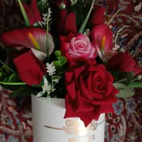 ویپاد ویپاد ویپاد