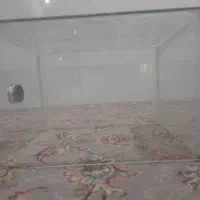 اکواریوم