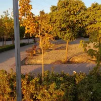 کارگر فضای سبز