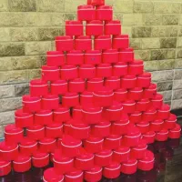 کرم شب معجزه گیاهی