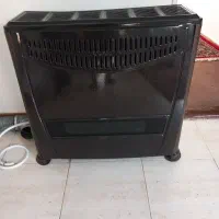 بخاری  سالم