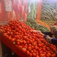 کارگر ساده غرفه میوه تربار