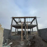 چوب نراد قالب بندی