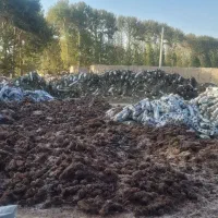 یکبار کشت دست دوم          کو   کو پیت