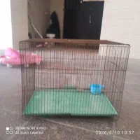 قفس پرنده