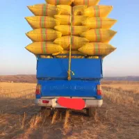 کاه|لوازم جانبی حیوانات|چهاردانگه (آذربایجان), |دیوار