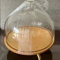ظرف کاپ کیک پایه چوبی