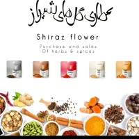 استخدام نیروی حسابدار