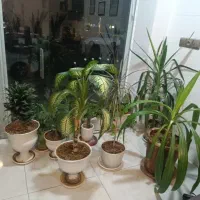 نیازمند منشی دفتر بیمه
