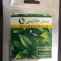 بذر گیاه صیفی سبزی عمده