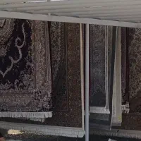 قالیشوی ، مبل شویی  دریا