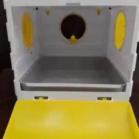 کف دریا و لانه کوتوله و مرغ عشق