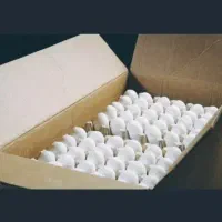 تخم مرغ