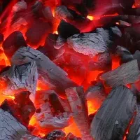 زغال لیمو فقط کیلویی 400