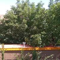 اجاره روزانه