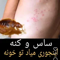سمپاشی وضدعفونیه منازل و هتلها