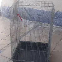 باسلام  عدد قفس عروس