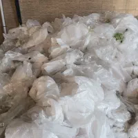 نیروخانم وآقااتباع جهت تفکیک ضایعات نایلون کندرکار