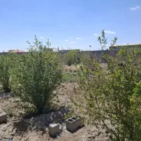باغ-چهاردیواری-و-زمین-داخل-مجموعه-موجود-میباشد