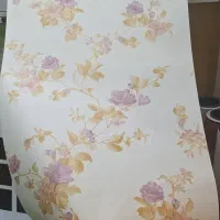کاغذدیواری از کار برگشته محدود