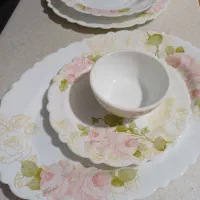 سرویس ارکوپال ۶نفره