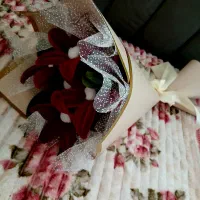 زیبایی|گل مصنوعی|مشهد, حجاب (شهرک غرب)|دیوار