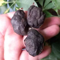 هبهاب عراقی سنگ درجه یک