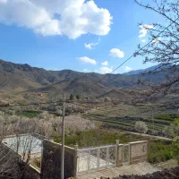 سوئیت نیاسر