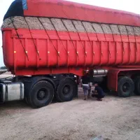 کاه نیشکر برای میش و بره گاو گوساله