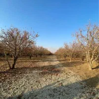 1500متر-زمین-فرشته