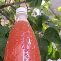 ابغوره تازه