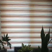 پرده کرکره زبرا