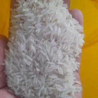 برنج نیمدانه ۱۷۰ لاشه ۲۰۰