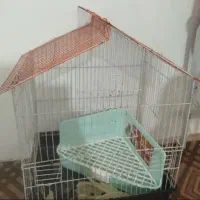قفس پرنده