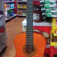 فروش گیتار