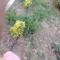 150متر-زمین-کنار-جاده-اصلی
