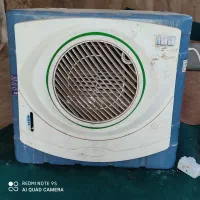 کلردرهدنو یک ماه