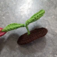 جوونه گیاه