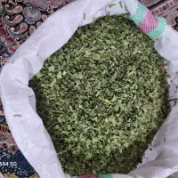 تره کوهی