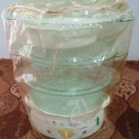 بخارپز