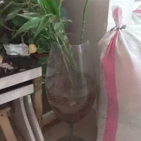 بامبو|گل و گیاه طبیعی|پرند, فاز ۳|دیوار