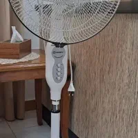 پنکه