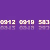 09120919583 رند