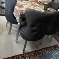 میزناهارخوری چستر